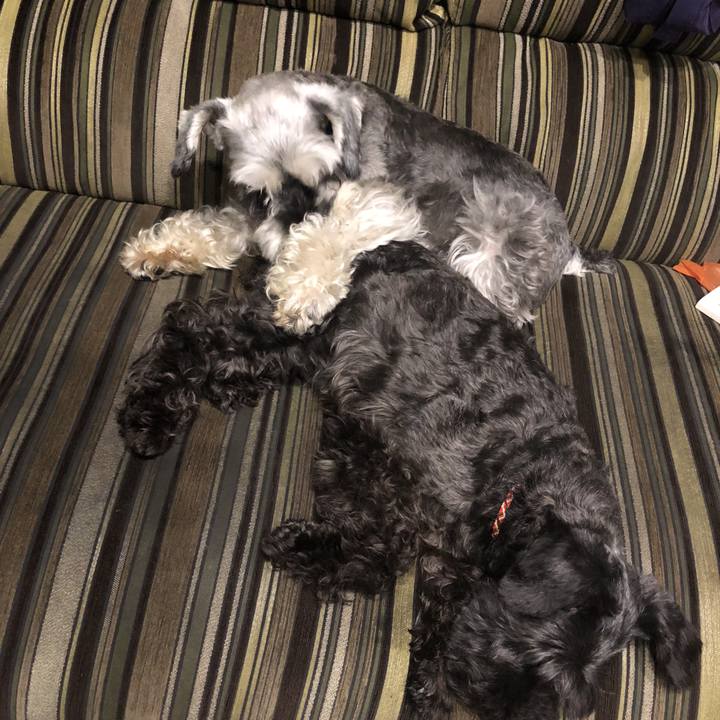 846052d8 0317 4555 8d92 b43aca80c9c8 1532693430283