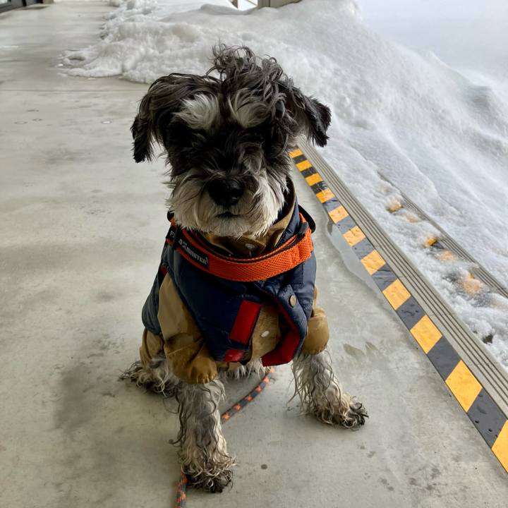 84607118 c5f8 47e9 ae7b bedf4838a090 1739070205636