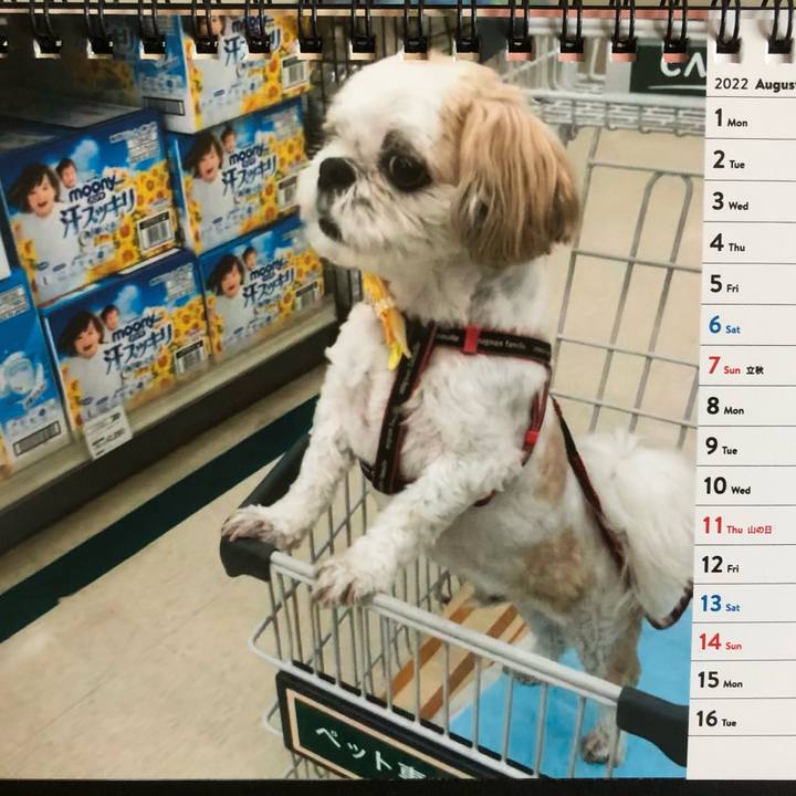 846086c9 209a 4fe9 ac74 44e06a379088 1659304826587