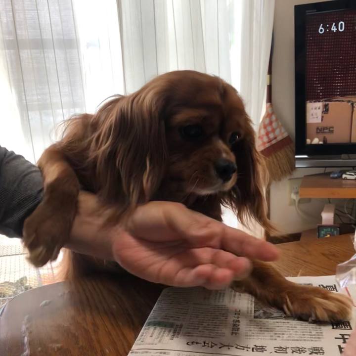 8460b272 4f14 495c b4ea 8eaf375cb7fa 1590012793070