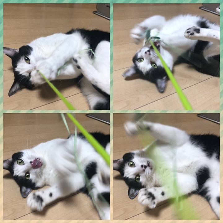 8460bb33 1c14 4a36 88e6 12d6d33d4850 1564755121946