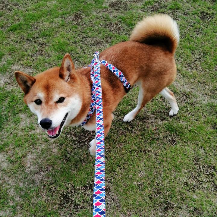 8460c726 f9f6 4a93 bdc7 fb07444eb225 1620546540116