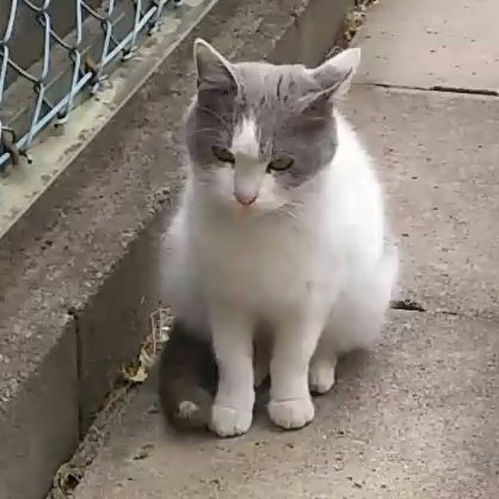 8460dc14 8b39 44c7 ba09 370180ab0b44 1549169548811