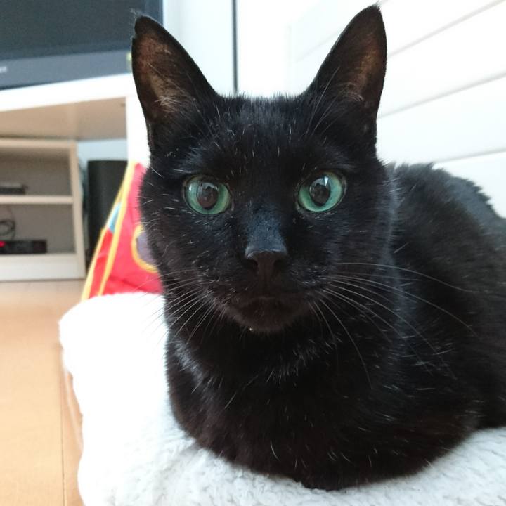 8460f139 bf90 491f b786 e4509d64c3c9 1553636432409