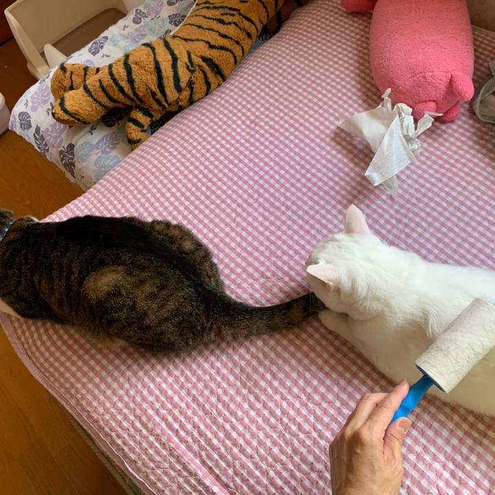 8460fa60 f32e 46ed a937 ce9108ab77a4 1630137808097