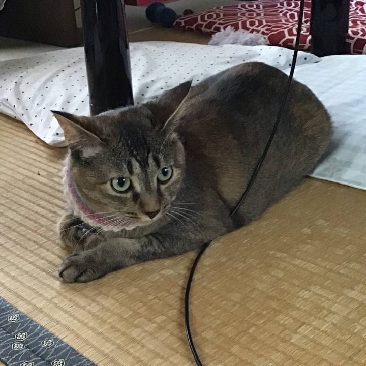 8461247f 39da 4399 b8b9 9b026a1715a4 1626497097764