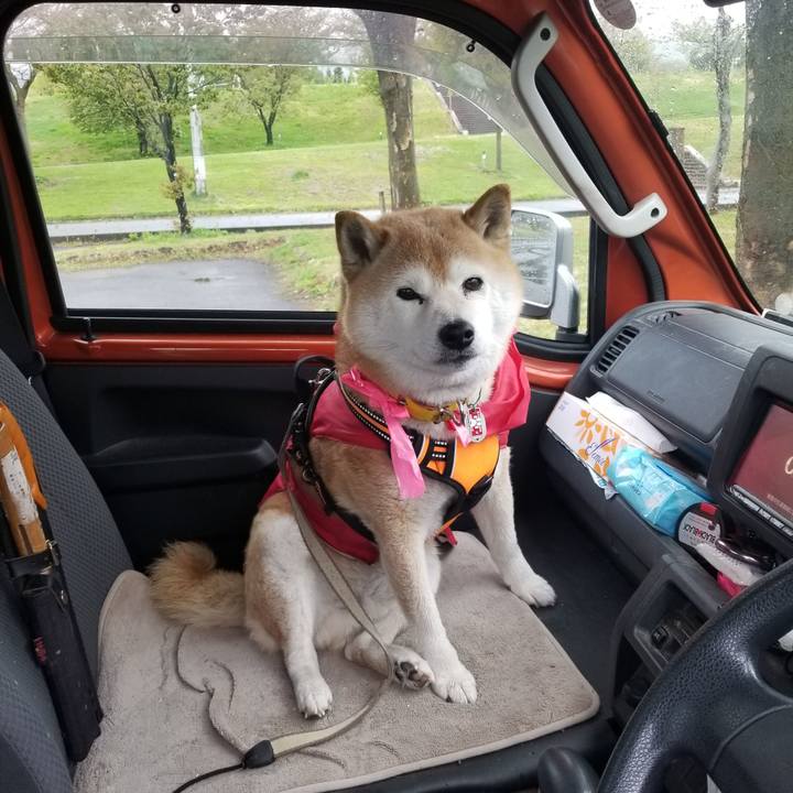 84612576 ac33 4e93 a46c b7d8fb699cff 1682492633036