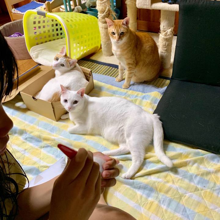 84612c15 c44c 4e66 be24 92723c5ac55f 1558960761390