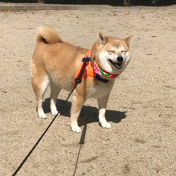 846150b7 9f4e 4b81 a140 67e47e415b2f 1524113570045