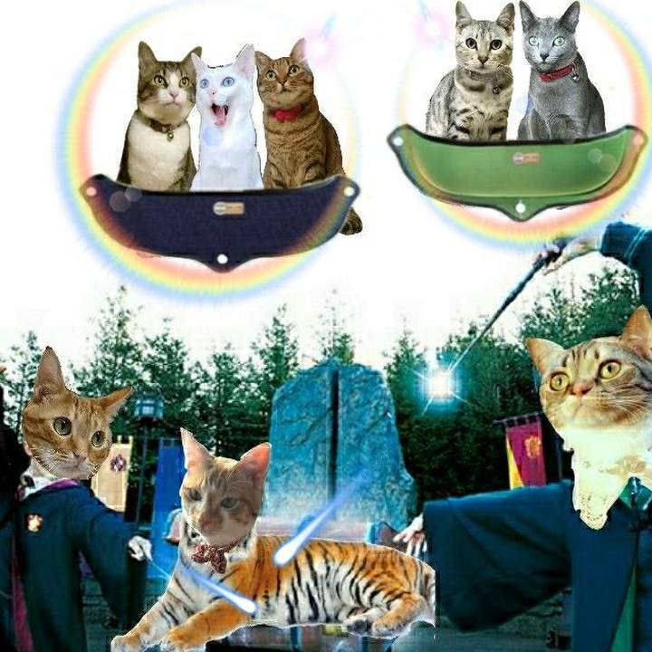 8461864a fb3e 4f3a b8ea b8086f97f972 1529218641705