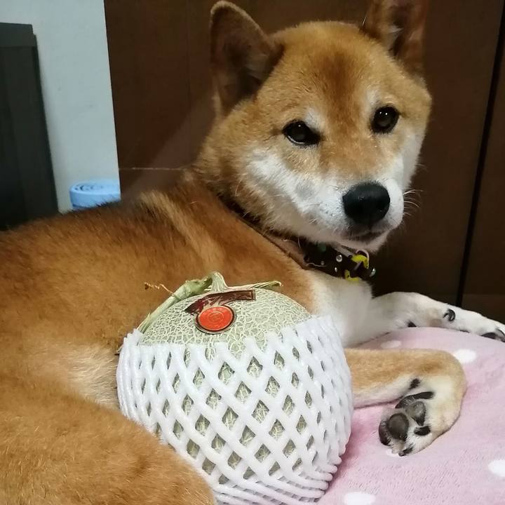 84619223 0dfa 4158 b7d5 2eb563462733 1594640319414