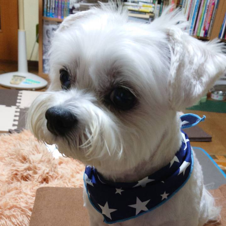 8461a2fa 4b3d 4891 b99a bc18764cf354 1625202714048