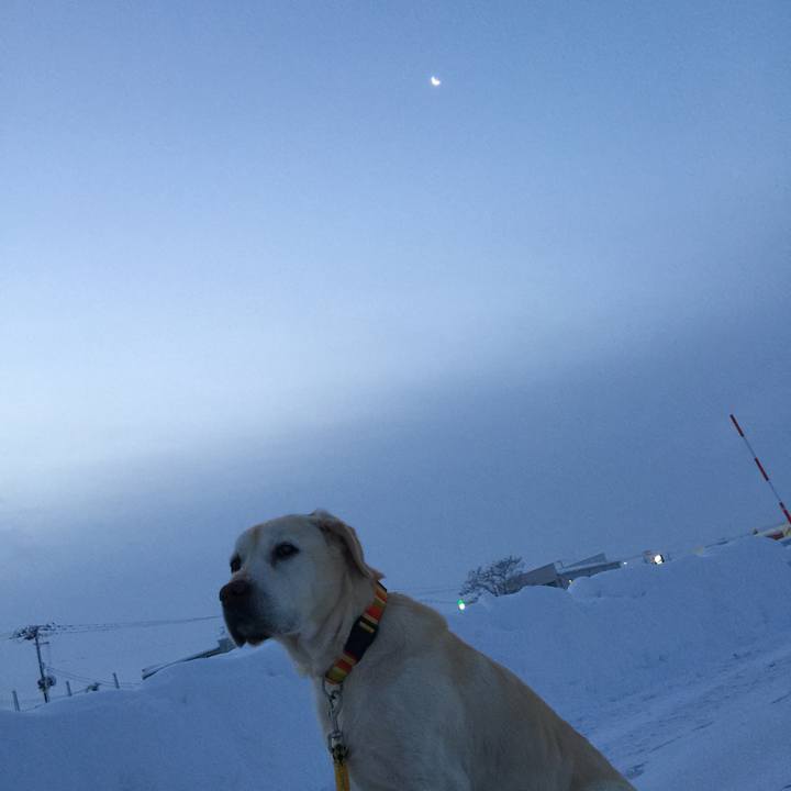 8461c9b9 8bd3 4e30 a949 ccf95eba8add 1515707895909