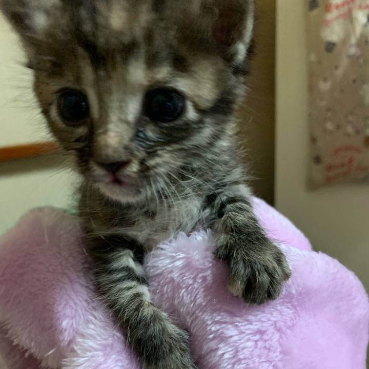 8461e329 cb11 4d70 8b3f 57e8f92db344 1556067294582