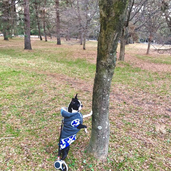 84620d0b 7f30 45f7 bef4 24366d4c2eb5 1515569933603