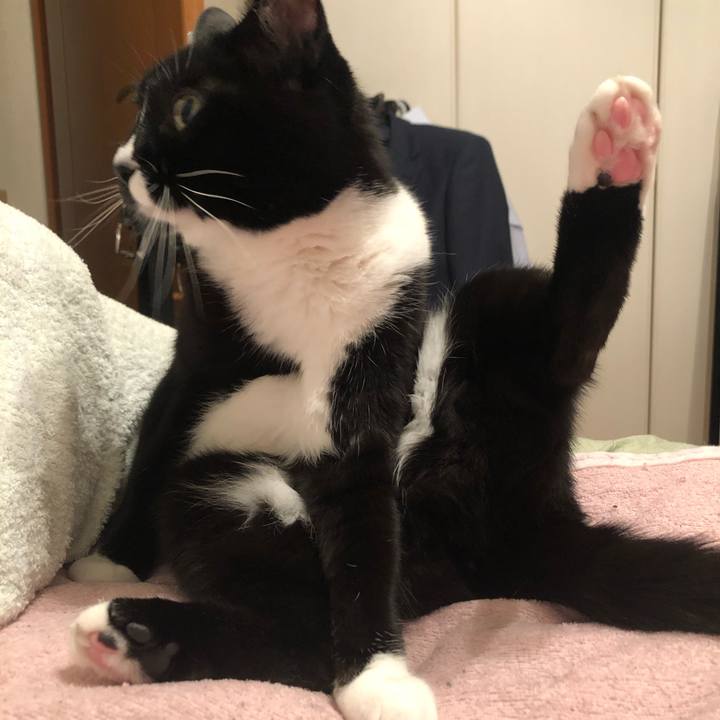 84623193 6fa0 4166 878c bc70905bebfc 1589698145620