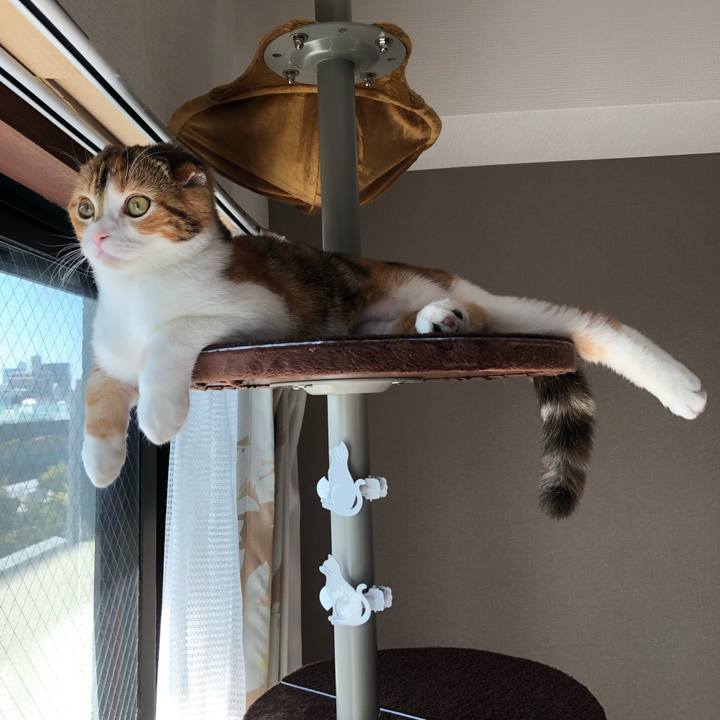 84625fee 7494 4014 bc43 434f31462f5d 1515206661822