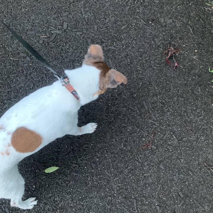 8462b191 5a50 4c59 9f47 aa0b1f8df953 1561123592069