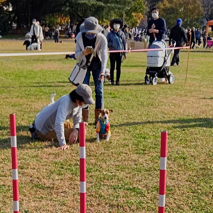 8462c0a3 0e01 44d7 b402 07d7638129eb 1637406256774