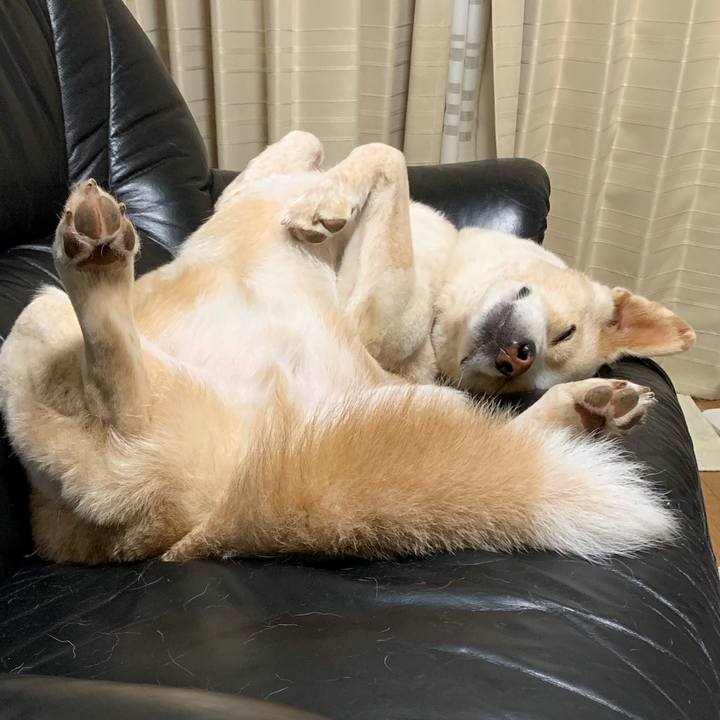 8462c343 e8c9 4681 9139 4ab1c1a32f85 1564238158109