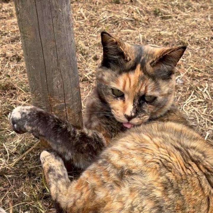 84632827 a566 4553 bb3a e7e03651397c 1744427319986