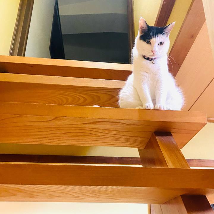 84634098 0f9e 43d3 9125 59f6498cad2f 1660597273527