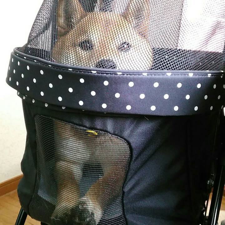 84634be8 18ef 4dd2 8e17 951b3edab7e8 1555392133331