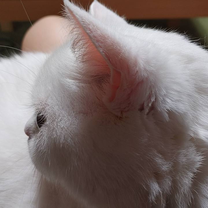 84635a60 5403 4b58 bcba 27d603dbb3e1 1693473455518