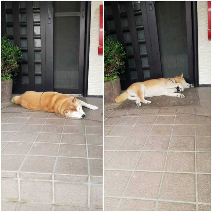 846388ed 7646 452a bff7 7b0918d58192 1695172687415