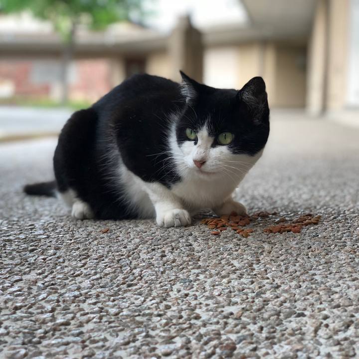 8463a1d2 f340 47f3 8c2e 4d6b7105e38e 1533812187892