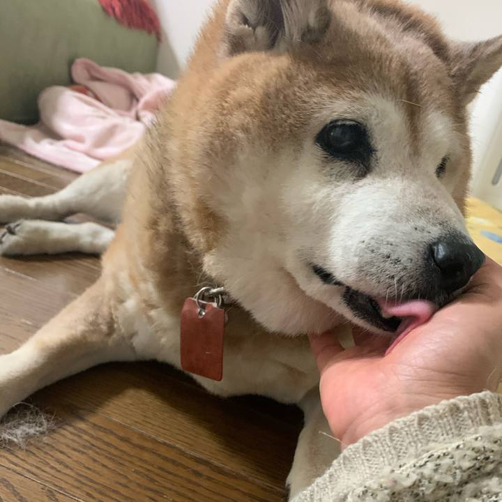 8463a6de 76ff 4cb6 bb0d 4fd90cb076e7 1609325212333