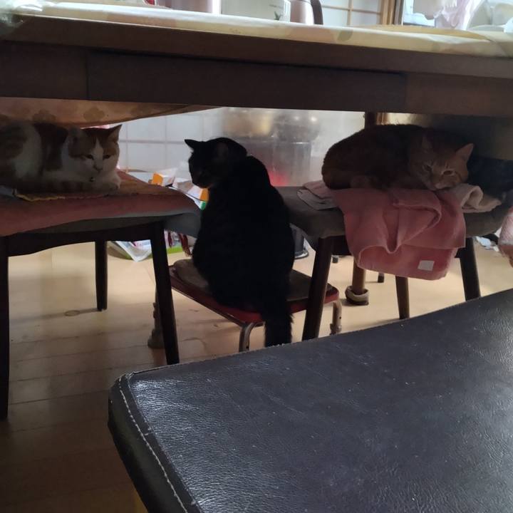 8463b528 5573 4386 9744 e811a9a06598 1742354246448