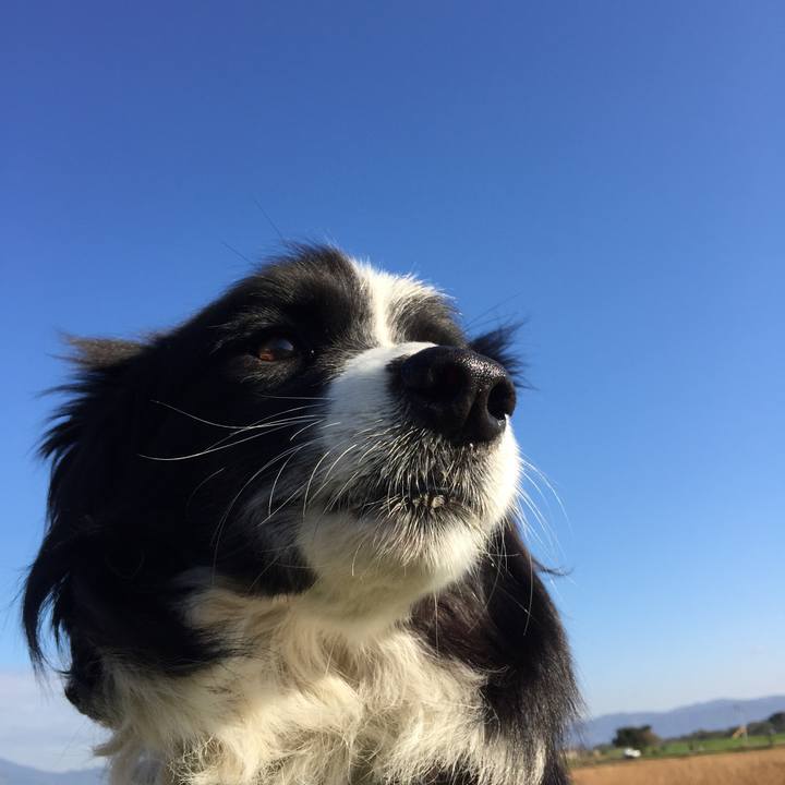 8463b801 2bb9 423d a2fb 05026277d4d1 1542154486405