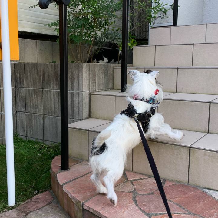 8463ee59 f9d8 463b 9125 bad71794a7ce 1663142711401