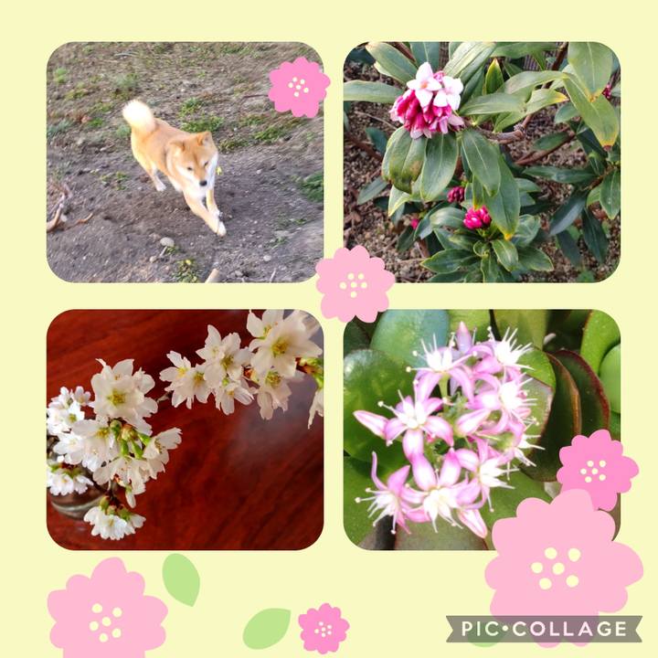 846412f3 62af 48cf a080 f14d1741d85e 1677885961922