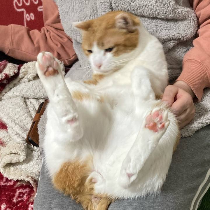 84645422 553c 4596 a50f c6d38d185d2b 1775696373322