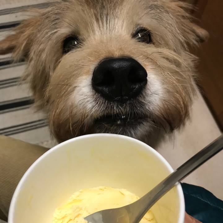 8464a9f4 2f78 4761 ad95 07e17890fc44 1608970935426