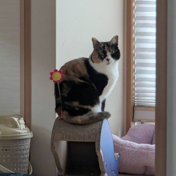 8464c9a6 b714 44dd 917f b6de05361417 1745652764714