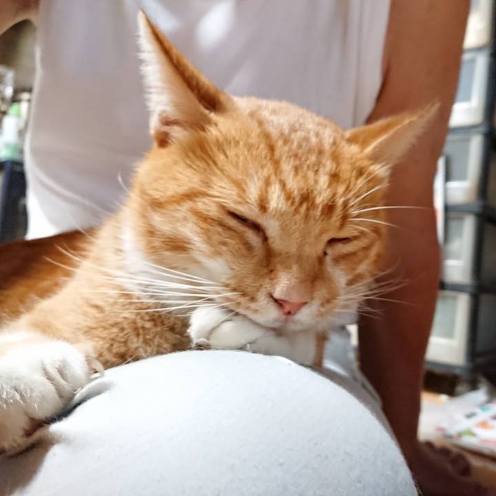 8464f403 6a33 4834 9e03 68e88c7930d0 1599555254113