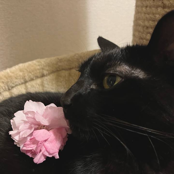 846515c8 e754 4195 a4b9 00c25a9aad33 1680787816684