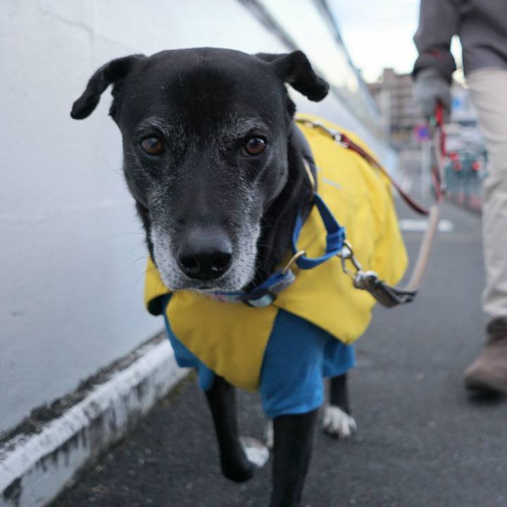 84653a14 278a 412d b486 f930accfbeff 1766794489331