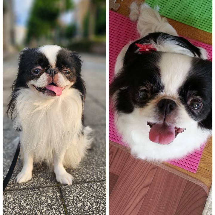 846545a2 2a6e 471d b50a f47b8a4dd154 1723625423469