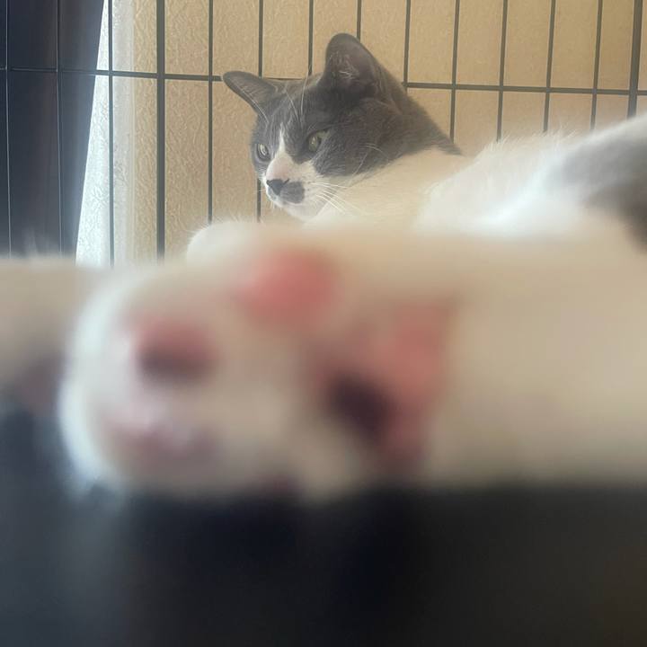 8465704d 7530 4c32 a758 b888a7770a2c 1633314781635