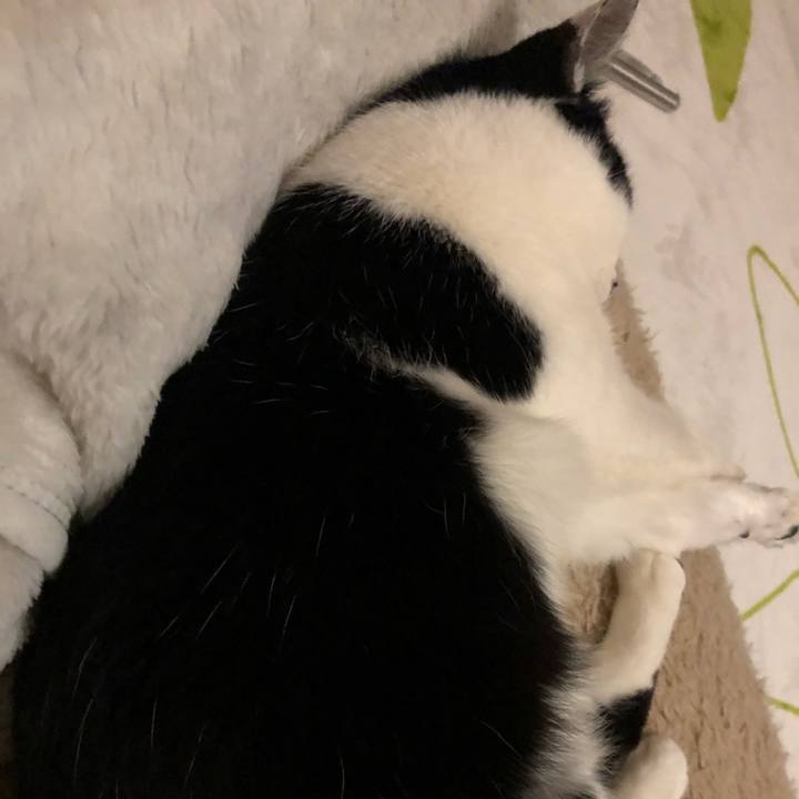 8465a233 76a7 48c0 a7be 7623a35be6c5 1547556106472