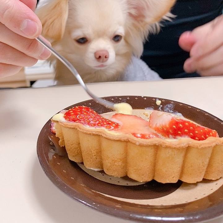 8465f5e3 62ca 48c2 894f 55667afcfc59 1615728285598