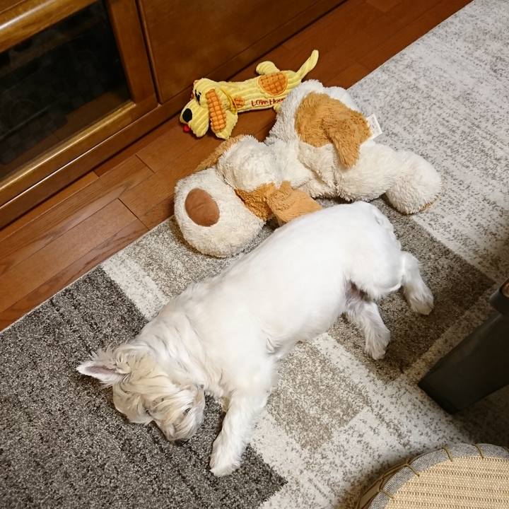 84660426 c41a 4e46 ac20 a55aa370bc6c 1553782545083