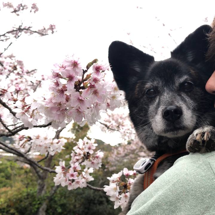 846620f4 32e3 4ec8 ac9a cbbf45afc645 1681045653266