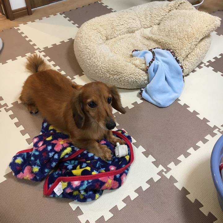 84665c79 5a4d 411c 9de7 7e13daf0ddbc 1582899102184