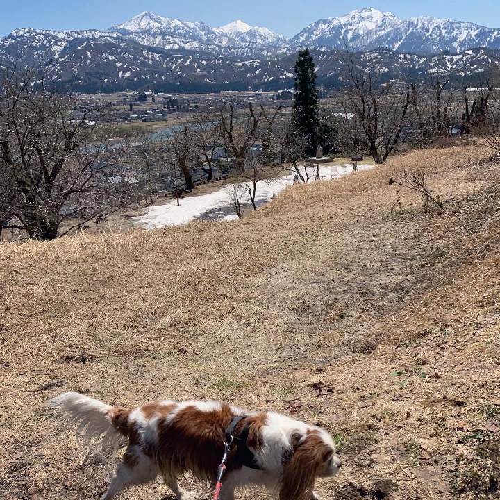 84667da2 1580 4ca3 8502 498e2de089b3 1618462238215