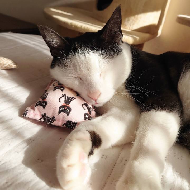 84667edd c846 4623 809a 56a8eb93160f 1706323256527